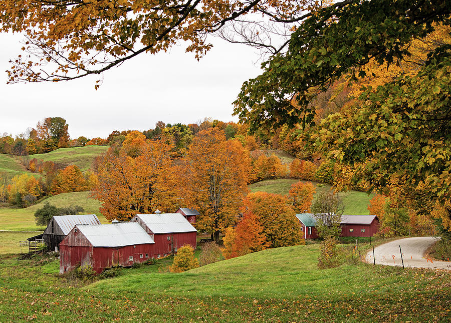 Jenne Farm in Vermont Photograph by Scott Miller