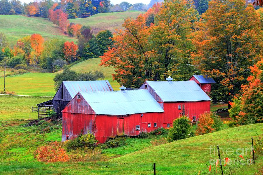 Jenne Farm South Woodstock Vermont Photograph by Terry McCarrick Fine