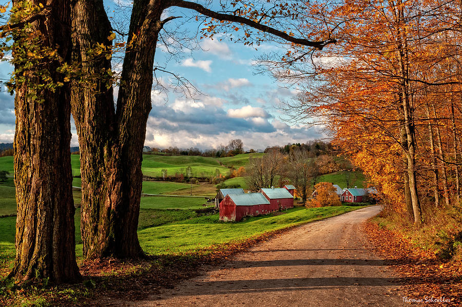 Jenne Road Countryside - Reading Vermont Autumn Scene Photograph by ...