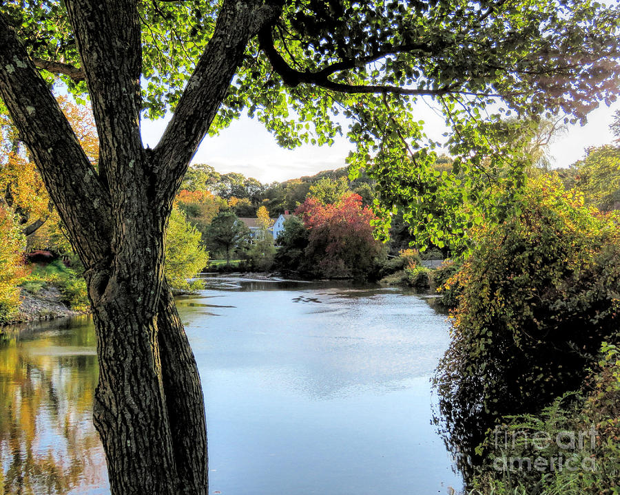 Fall Photograph - Jenney Pond  by Janice Drew