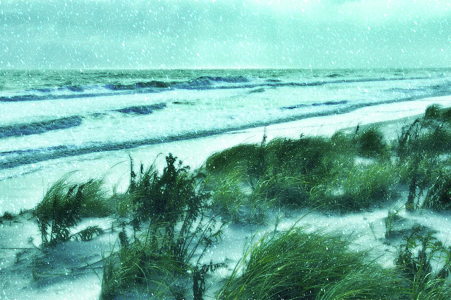 Jersey Shore in Snow Photograph by Angie Tirado