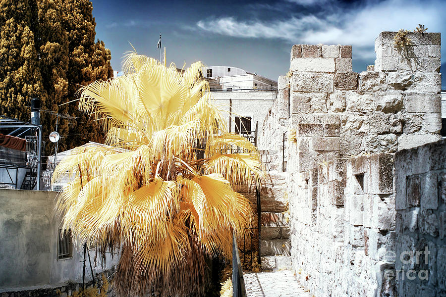 Jerusalem Rampart View Infrared Photograph by John Rizzuto