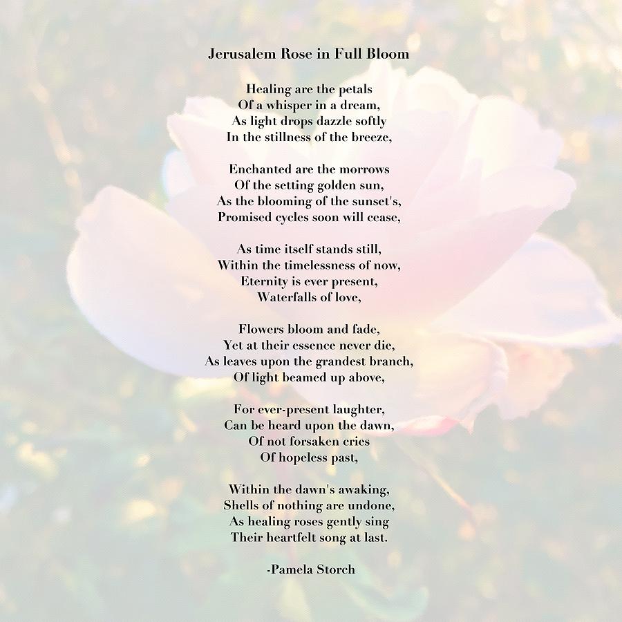 Rose Digital Art - Jerusalem Rose in Full Bloom Poem by Pamela Storch