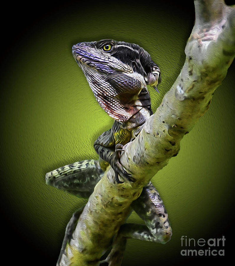 Jesus Christ Lizard Costa Rica Digital Art by Paul Gerace