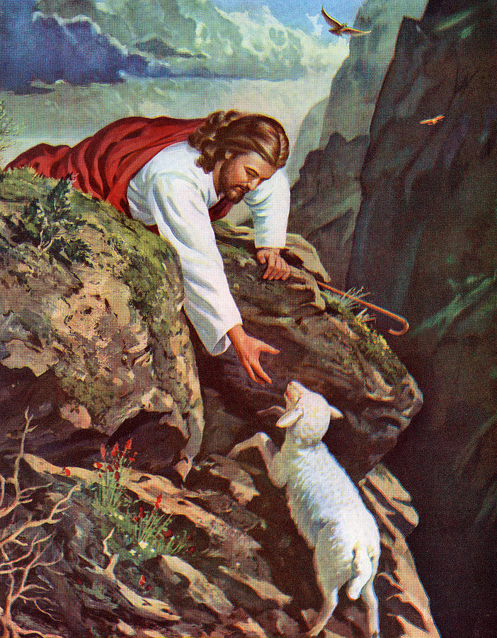 Sheep Drawing - Jesus Reaching for a Lost Sheep by CSA Images