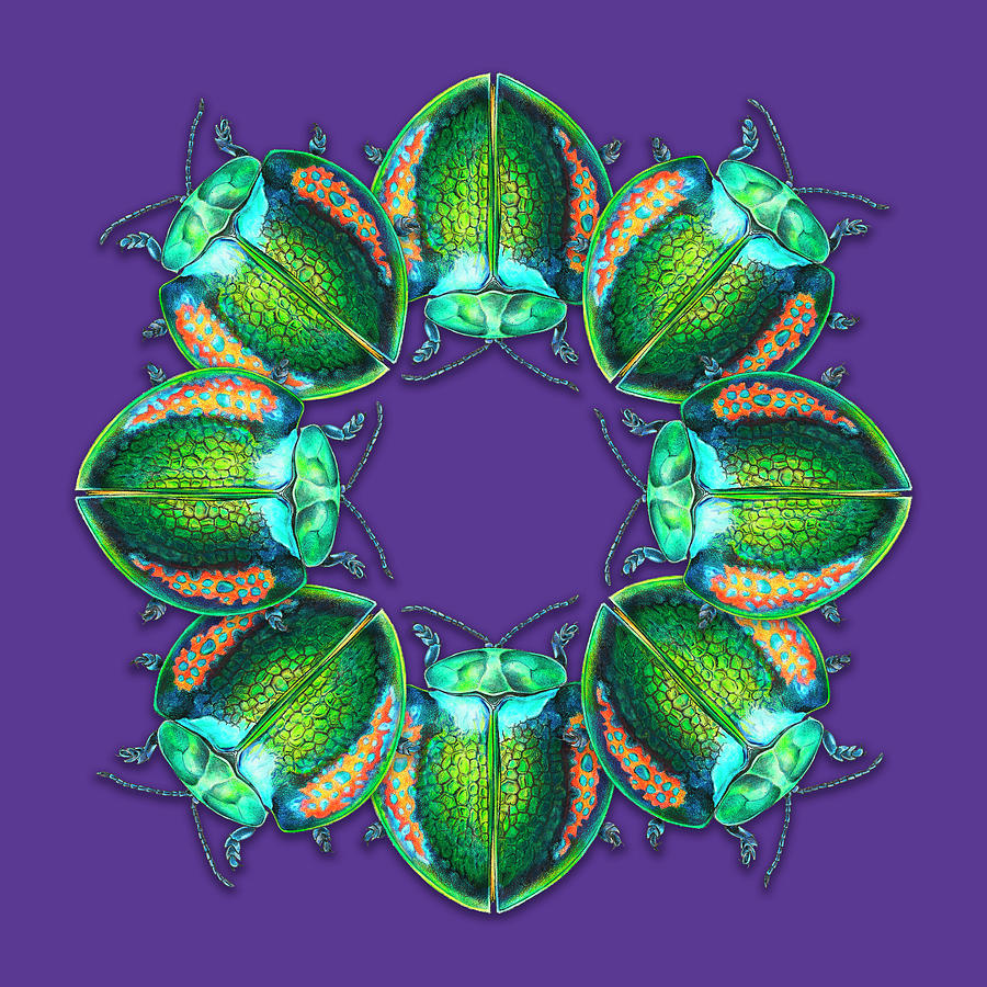 Insects Painting - Jewel Beetles Mandala by Mindy Lighthipe- Artist Llc