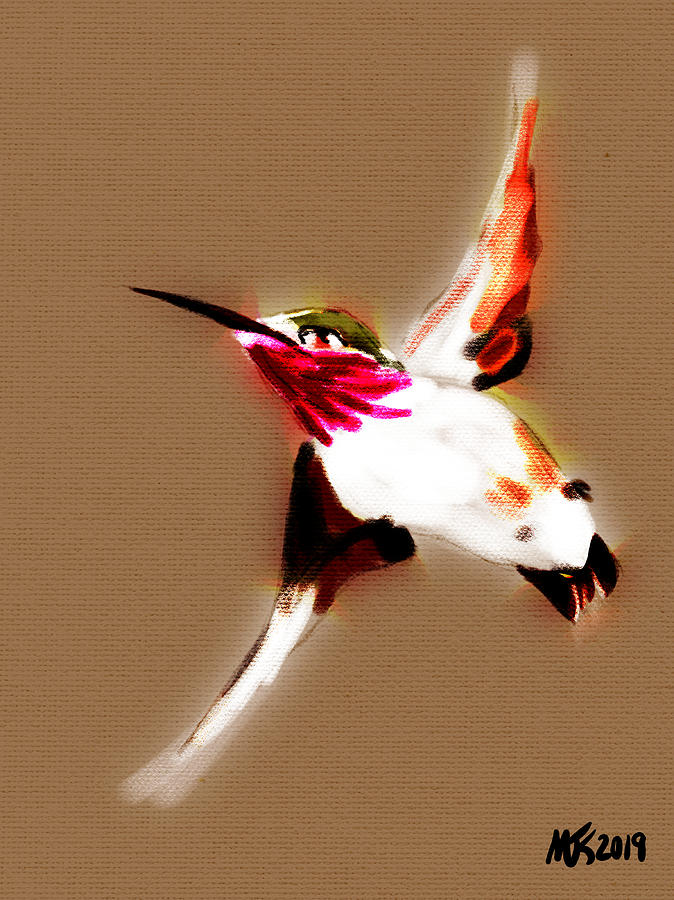 Jewel In Flight  Digital Art by Michael Kallstrom
