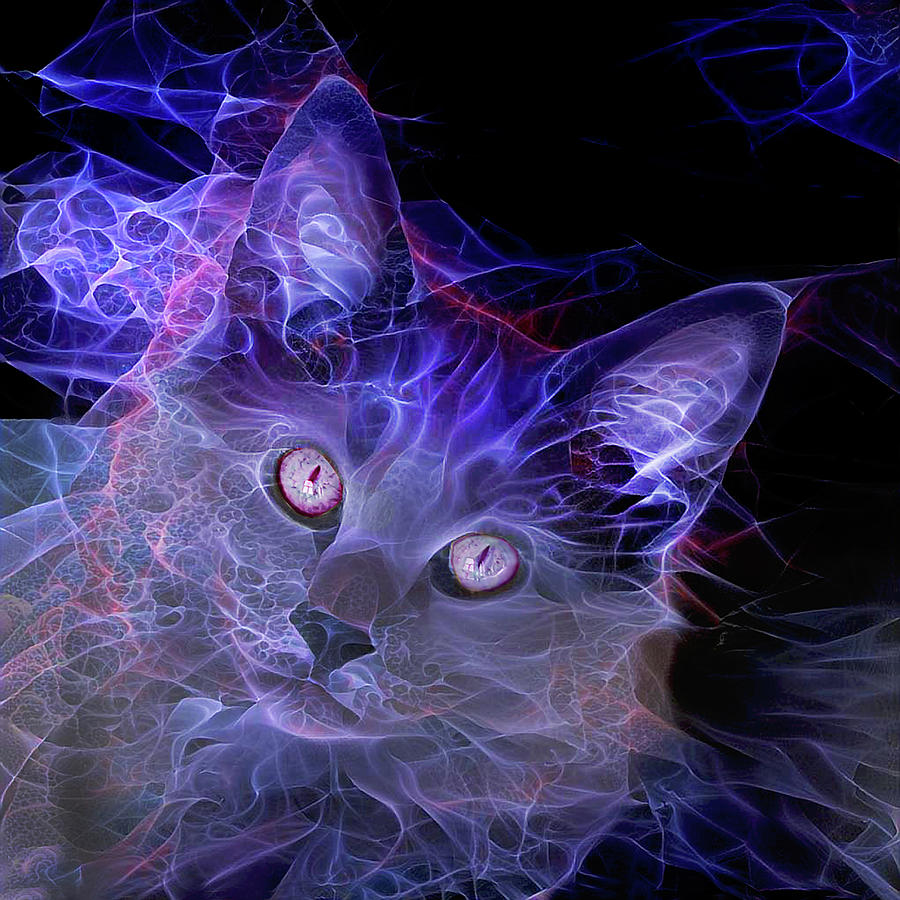 Jimi Hendrix Cat Digital Art by Peggy Collins