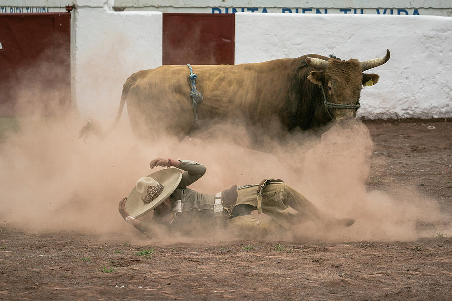 Horse Photograph - Jinete Bullrider in Mexico by Dane Strom
