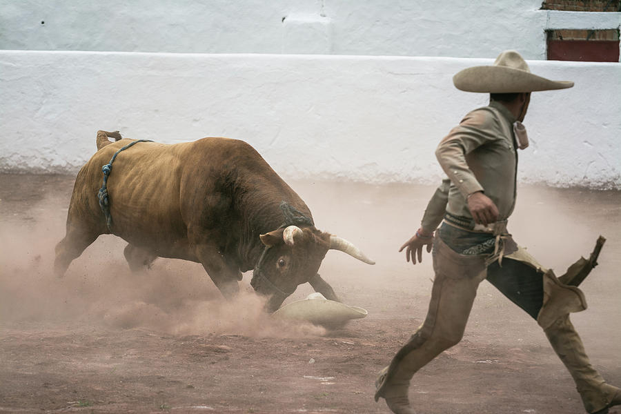 Charro Photograph - Jinete Charro and Bull in Ajijic, Mexico by Dane Strom