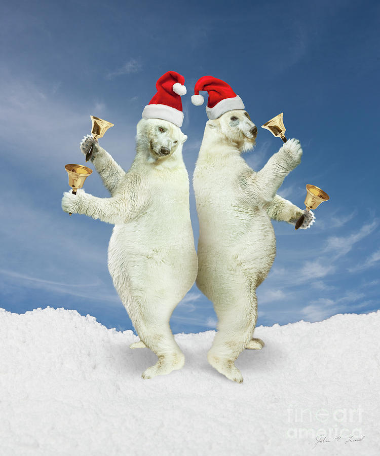 Jingle Bears Photograph By John Lund Fine Art America