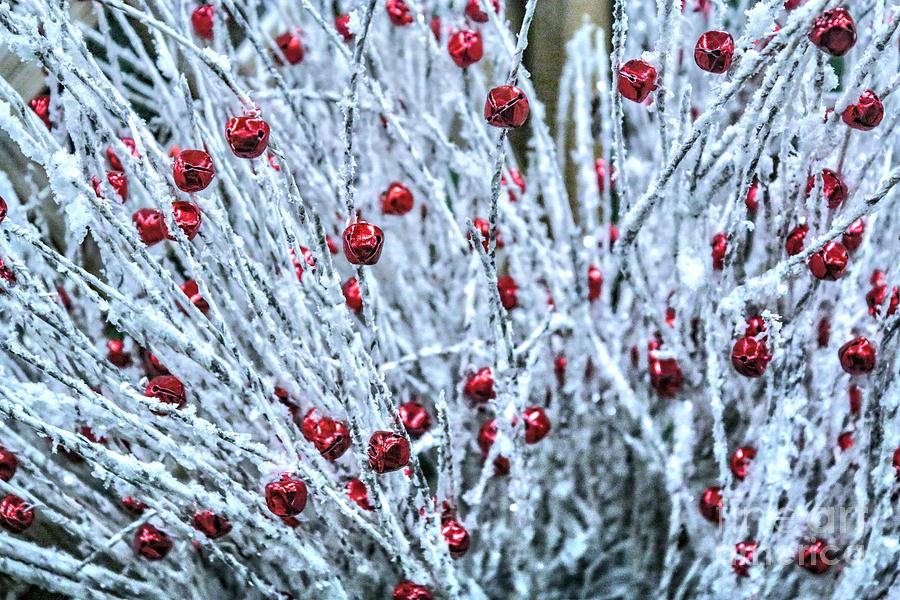 Jingle Snow Bells Photograph by Sandy Moulder