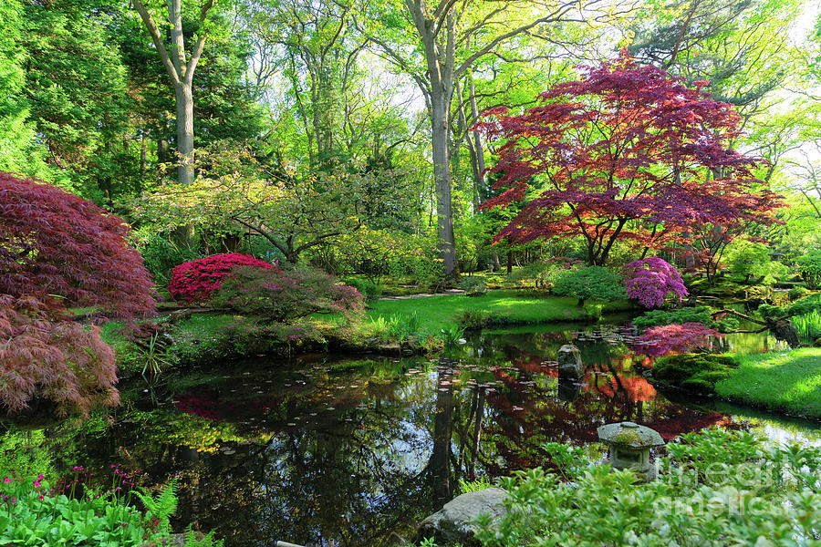 Serenity Garden Photograph