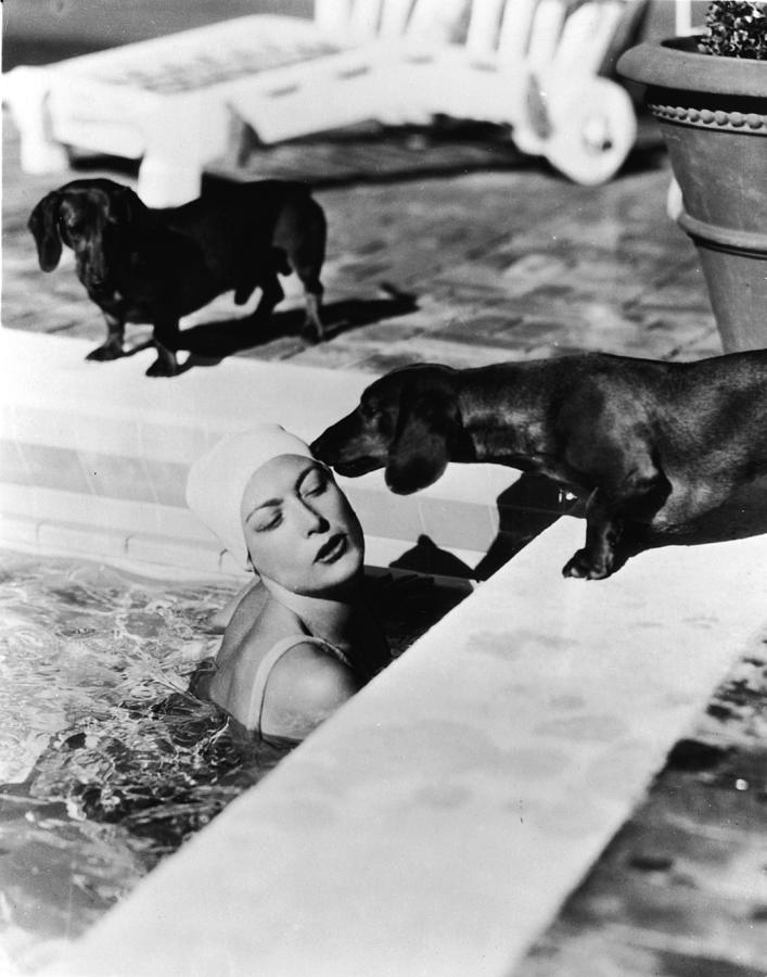 Joan Crawford Photograph - Joan Crawford With Dachshunds by American Stock Archive