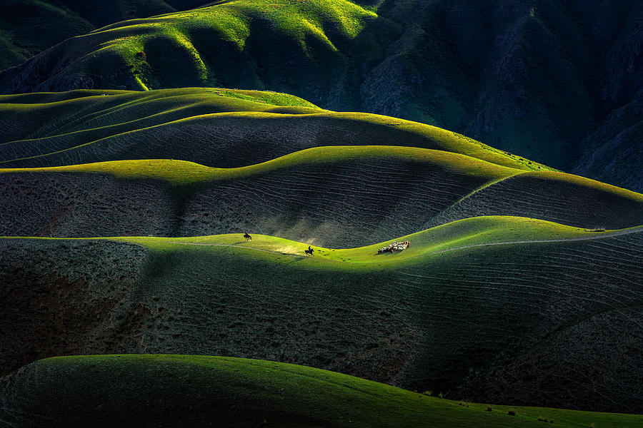 Joan Kushtai Grassland Photograph by Hua Zhu