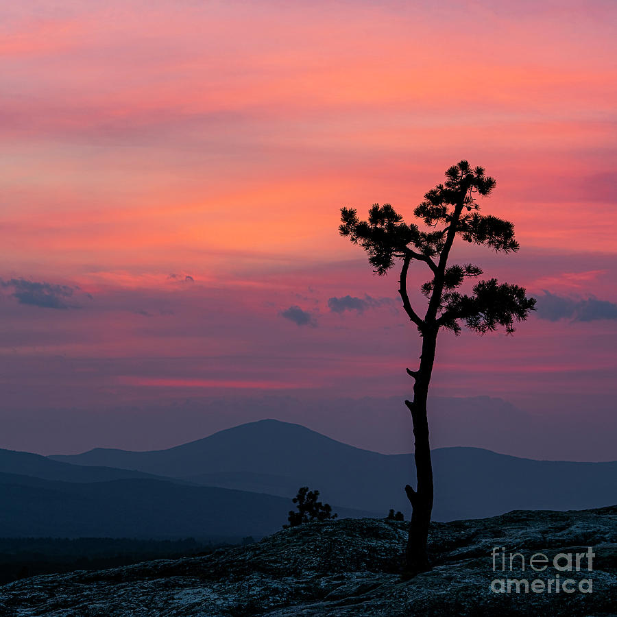 Jockey Cap Sunset Photograph by Craig Shaknis