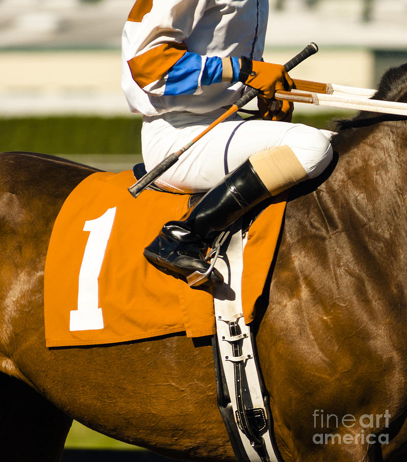 Equestrian Photograph - Jockey Rides Horse Along Track by Christopher Boswell Equestrian Photograph - Jockey Rides Horse Along Track by Christopher Boswell