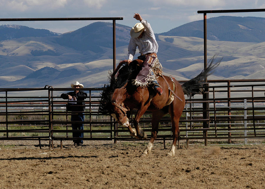 Jockey Riding Horse, And Reaching High Photograph by Cgbaldauf