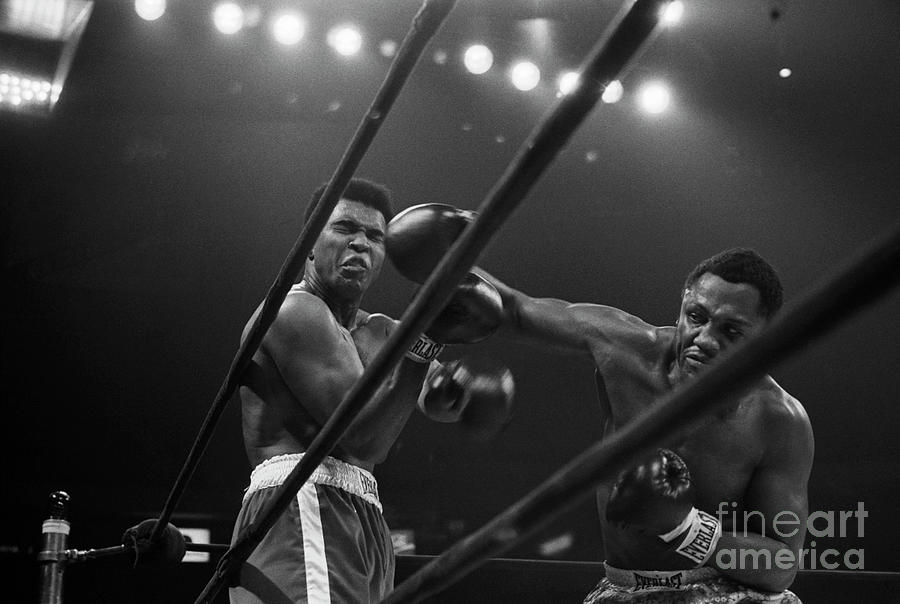 Joe Frazier Punches Muhammad Ali Photograph by Bettmann Joe Frazier Punches Muhammad Ali Photograph by Bettmann