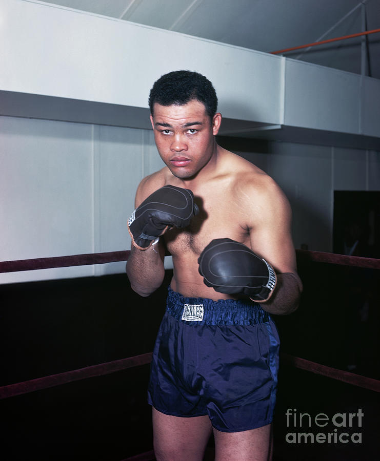 Brown Bomber's Gloves, Boxing gloves belonging to Joe Louis…