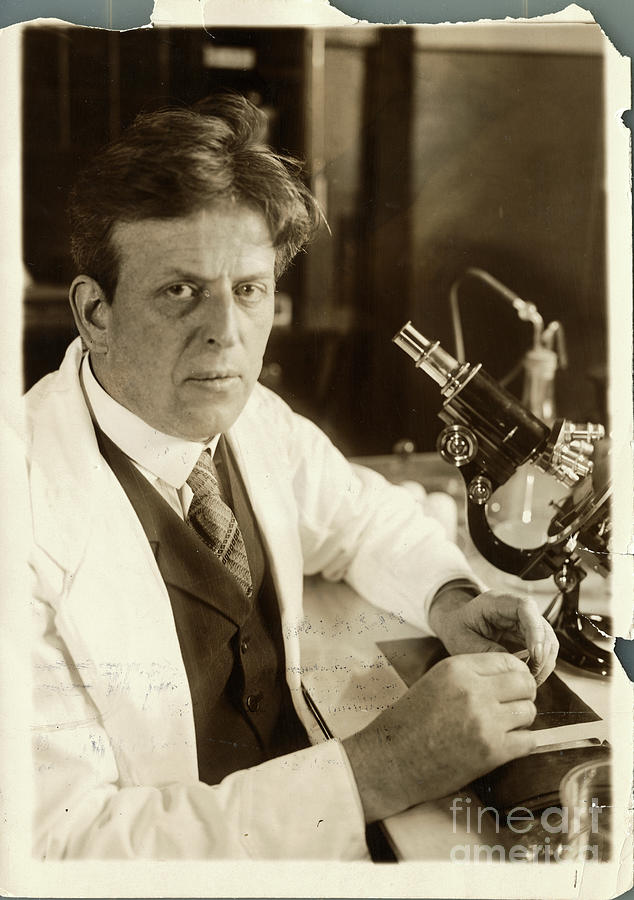 Joel H. Hildebrand In His Lab Photograph by Bettmann