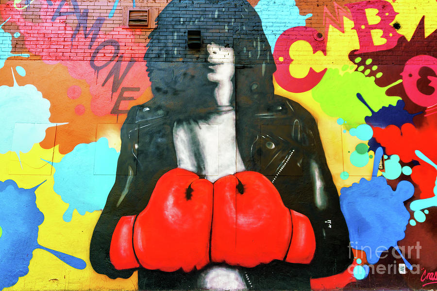 Joey Ramone Mural the Bowery New York City Photograph by John Rizzuto
