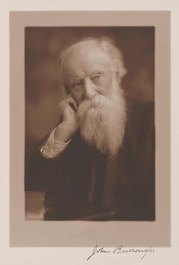 John Burroughs, American Naturalist Photograph by Science Source