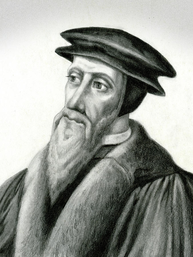 John Calvin Drawing by John Shaffer | Fine Art America