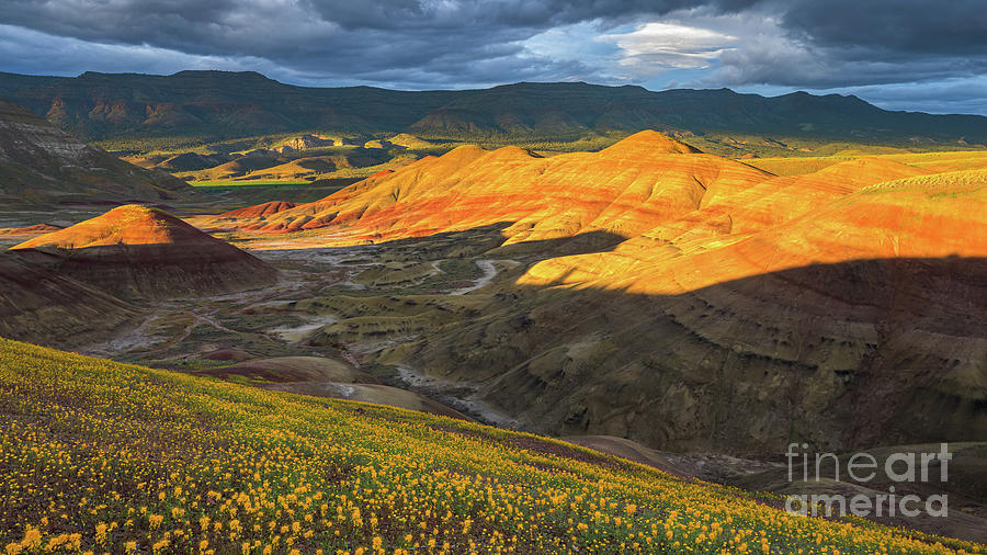 John Day Fossil Beds National Monument, Oregon, USA Photograph by Henk Meijer Photography