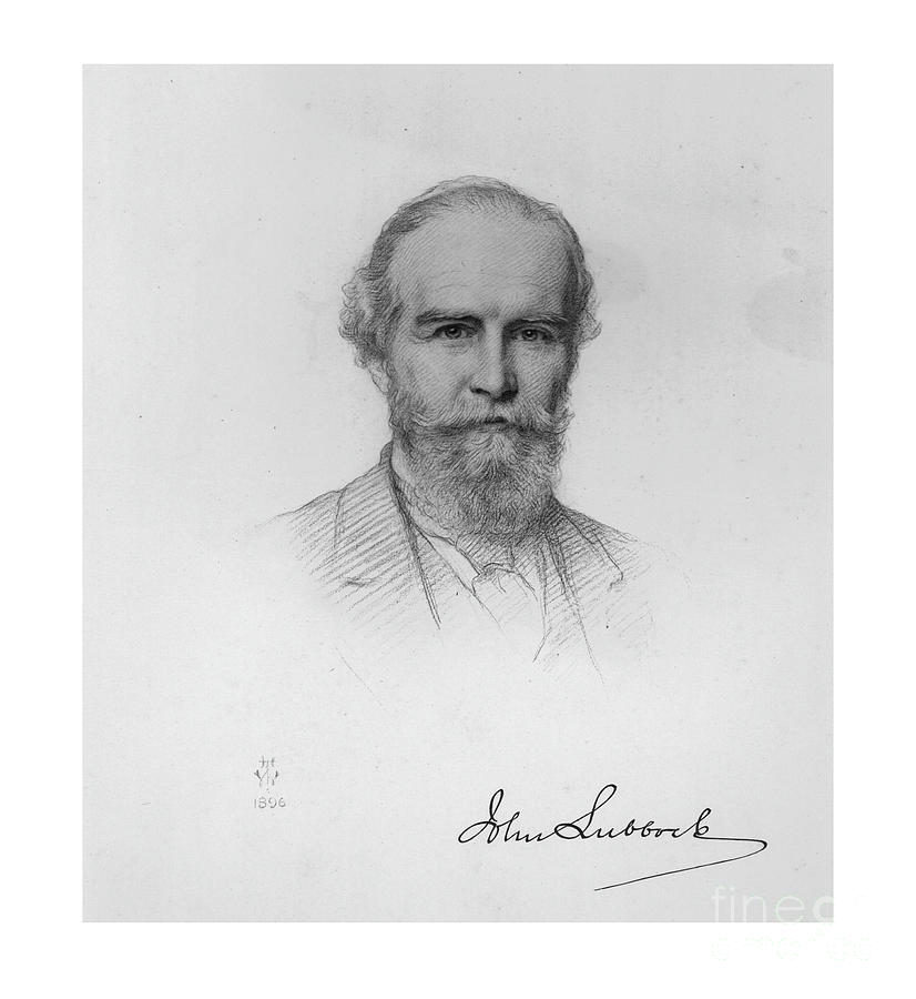 John Lubbock Drawing by Print Collector