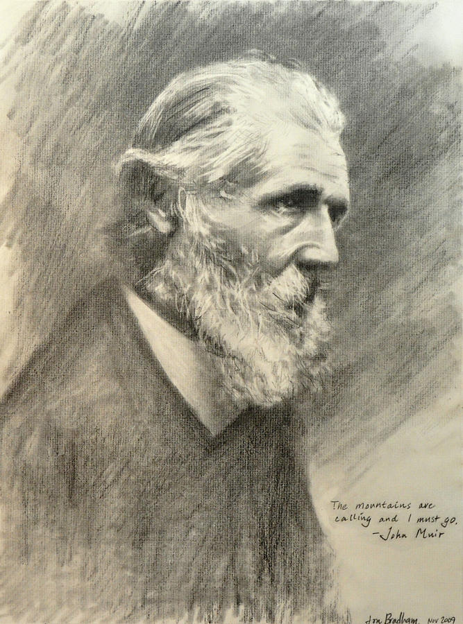 John Muir Drawing by Jon Bradham Pixels
