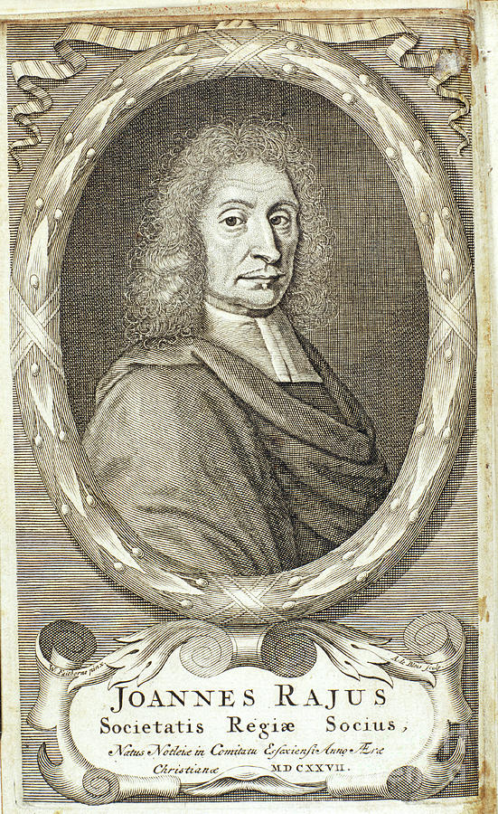 John Ray, English Naturalist, 1680s Drawing by Print Collector