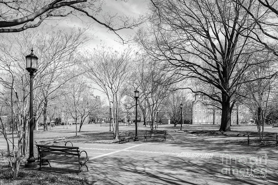 Johns Hopkins University Campus Landscape Photograph by University Icons