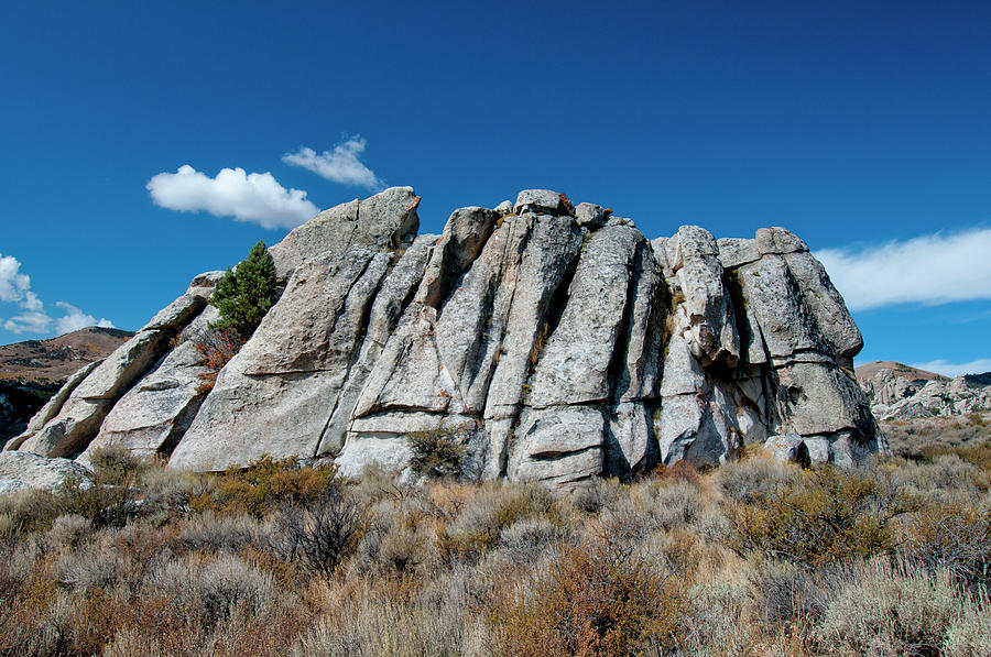 Joints In Granite Photograph by William Mullins