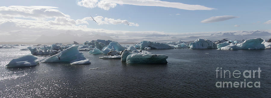 Jokusarlon glacial lagoon Photograph by Agnes Caruso