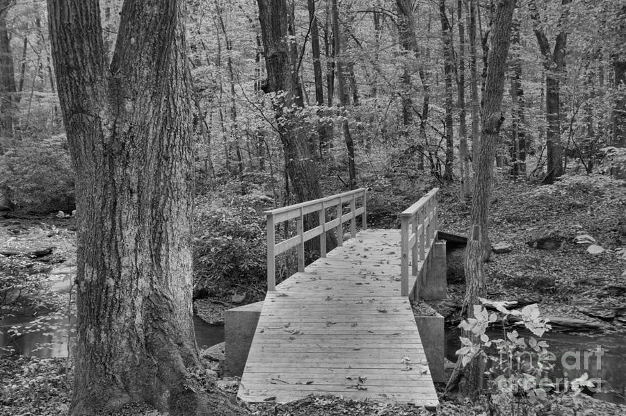 Jonathan Run Trail Bridge Black And White Photograph by Adam Jewell