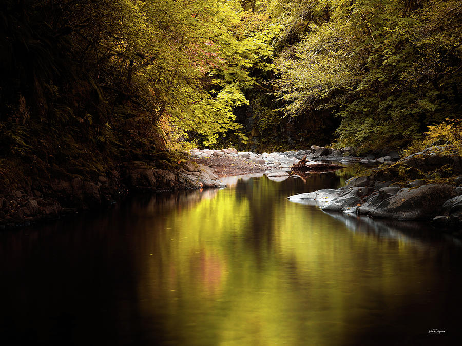 Jordan Creek, Oregon Photograph by Leland D Howard