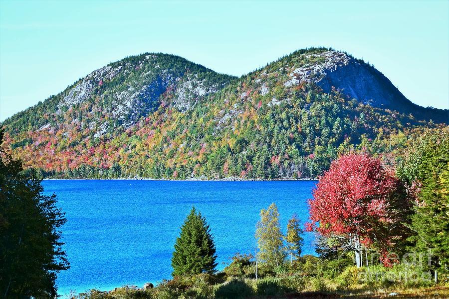 Jordan Pond Bubbles by Patti Whitten Jordan Pond Bubbles by Patti Whitten