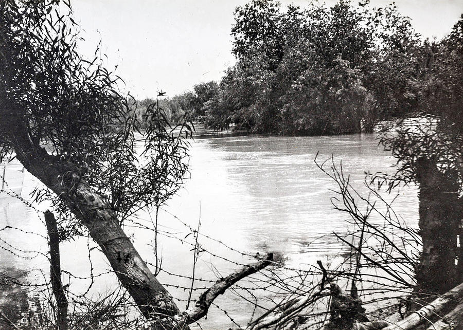 Jordan River Trees Photograph