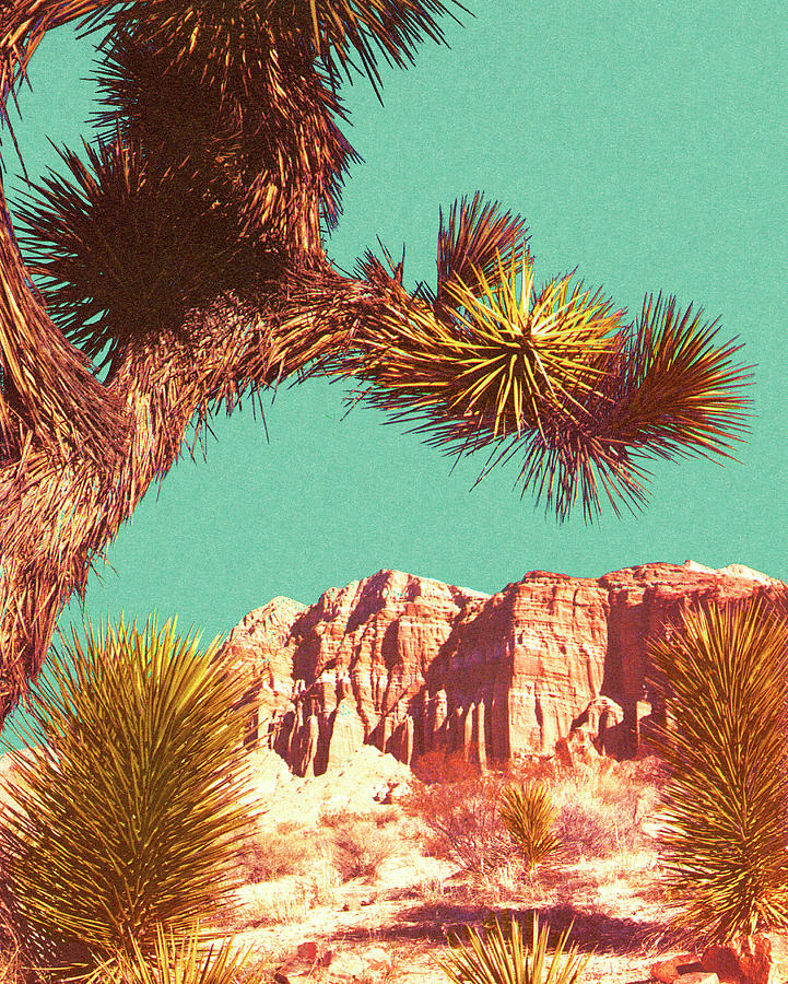 Nature Drawing - Joshua Tree and Rock Formation Landscape by CSA Images