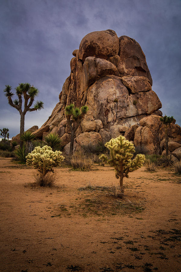 Joshua Tree Boulders Photograph by Rick Strobaugh