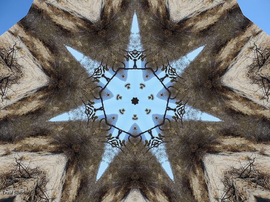 Joshua Tree, Creosote and Blue Sky 2 Digital Art by Enaid Silverwolf