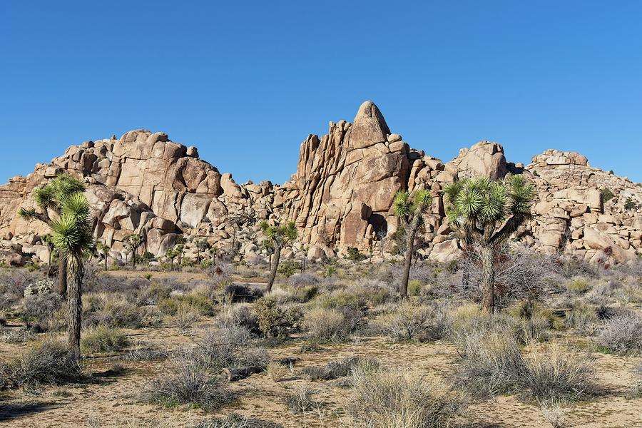 Joshua Tree Desert Rock Formations Photograph by Allan Van Gasbeck