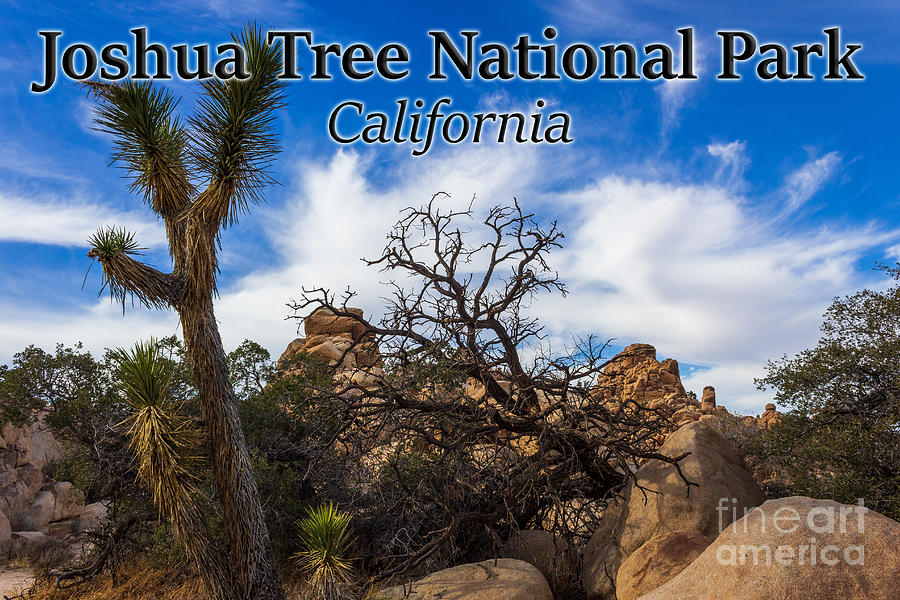 Joshua Tree National Park Photograph - Joshua Tree National Park, California Box Canyon 02 by G Matthew Laughton Joshua Tree National Park Photograph - Joshua Tree National Park, California Box Canyon 02 by G Matthew Laughton