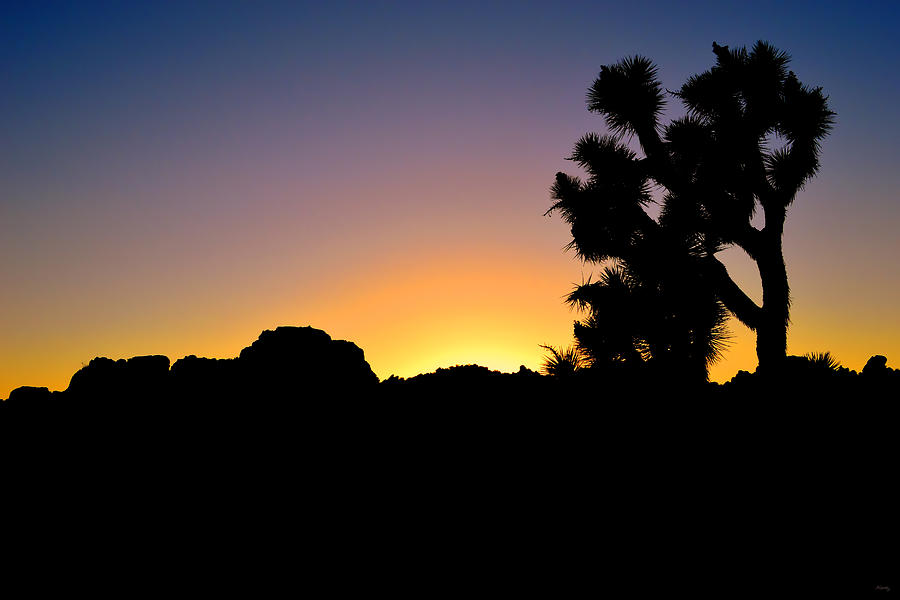 Joshua Tree National Park Sunset Photograph by Glenn McCarthy Art and Photography