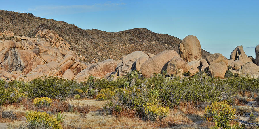 Joshua Tree Rock Formations Photograph by Paulette B Wright