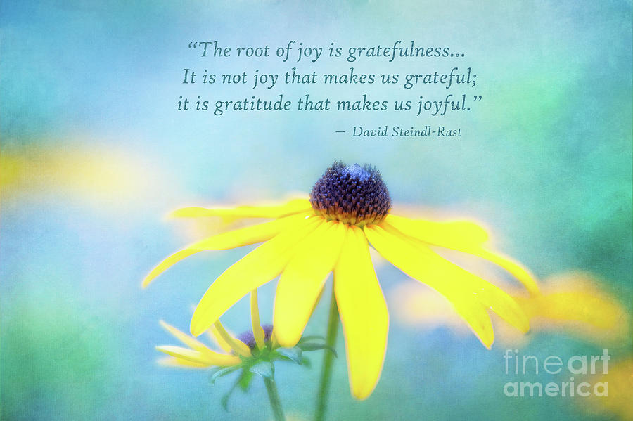 Joy and Gratefulness Photograph by Anita Pollak