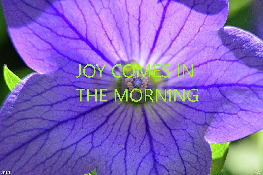 Joy Comes In The Morning by Lisa Wooten Joy Comes In The Morning by Lisa Wooten