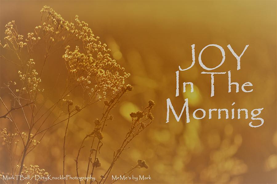 Joy In The Morning Photograph by Mark Bell - Fine Art America