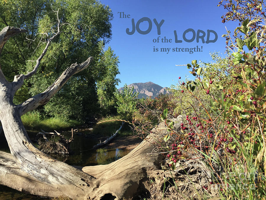 Joy Lord Mixed Media by Lori Tondini